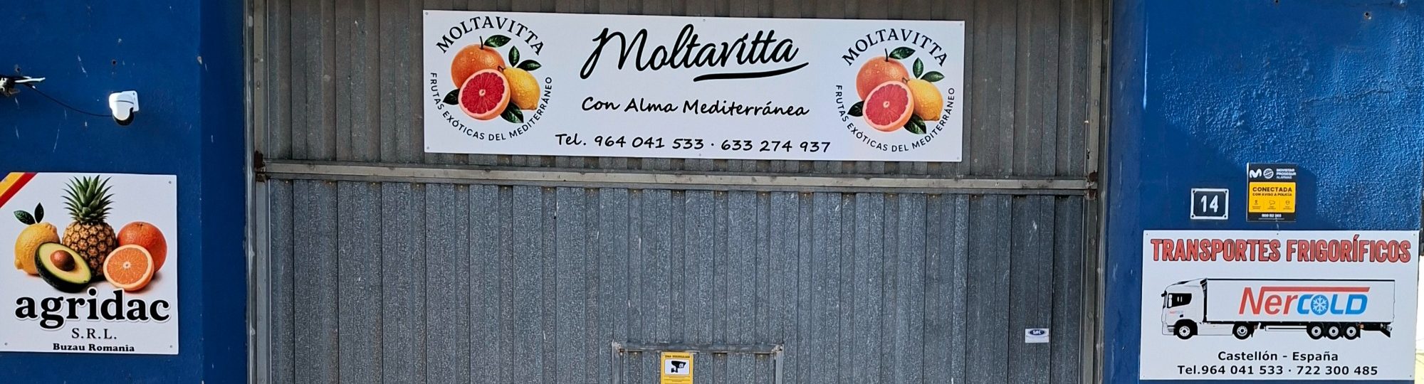 Mayoristas frutas y verduras a nivel internacional